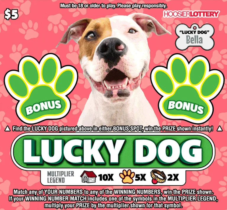 LUCKY DOG