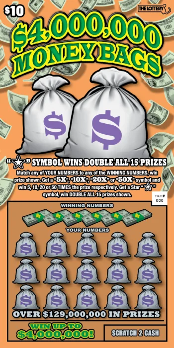 $4,000,000 Money Bags